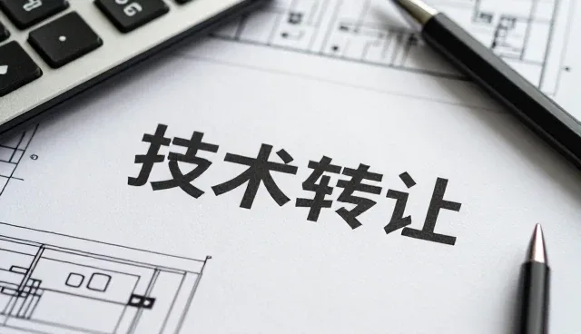 项目包括产品在实际使用中的维护与管理建议